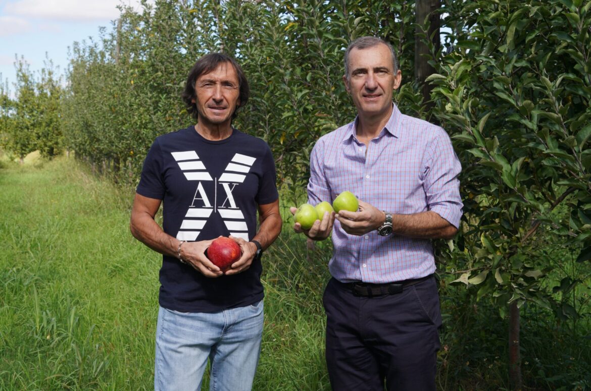 REVISTA NUEVA EDICIÓN N52: LA COMPLEJIDAD DE LA ACTIVIDAD FRUTÍCOLA