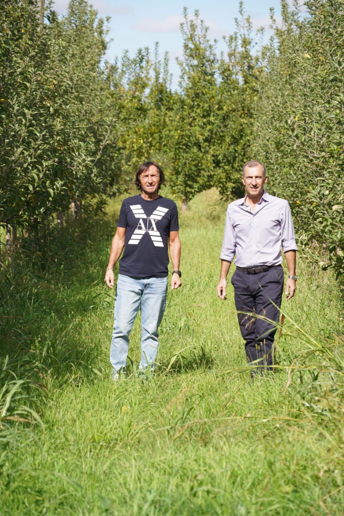 La guerra también golpea al Alto Valle: mayores costos y tensión con las exportaciones